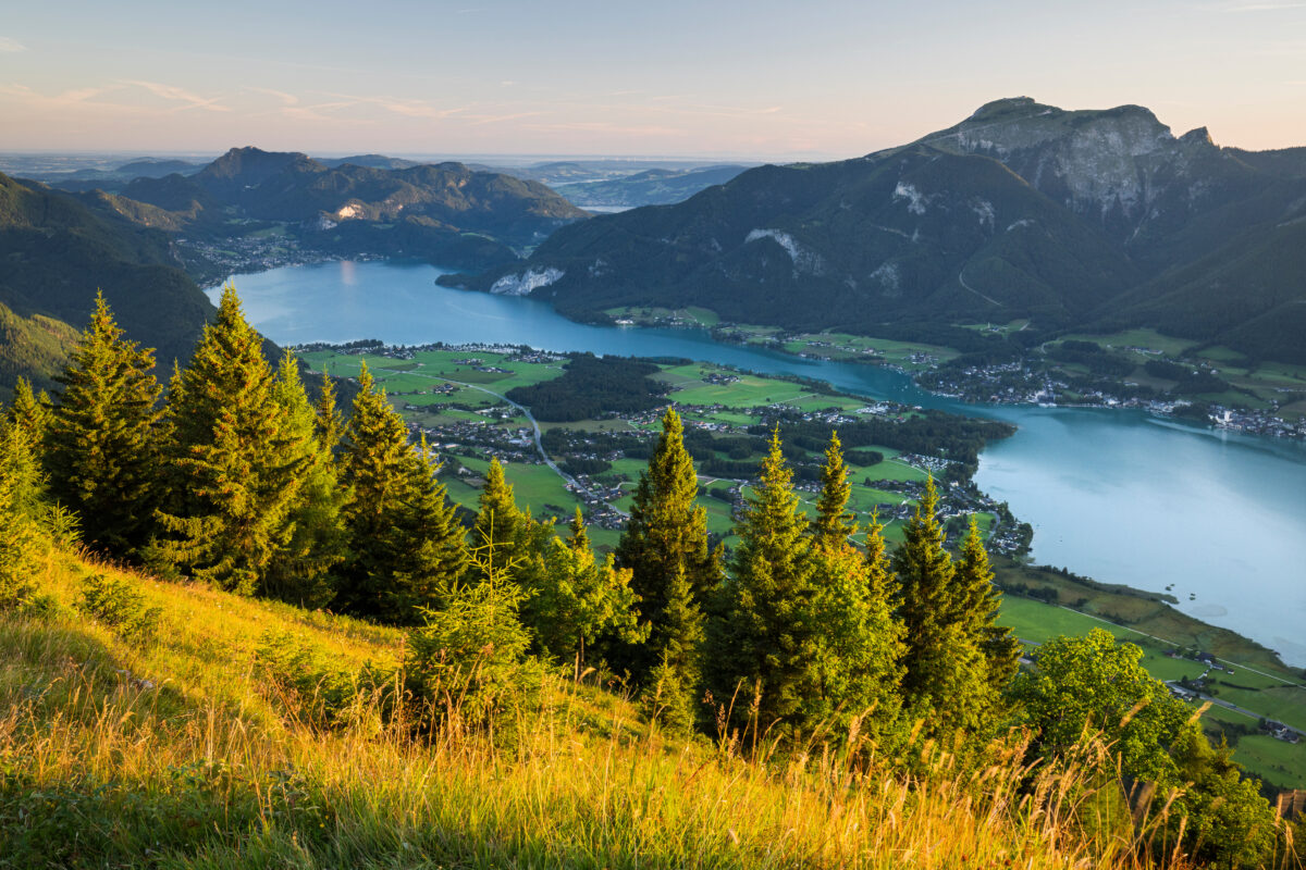 Blick auf den Wolfgangsee