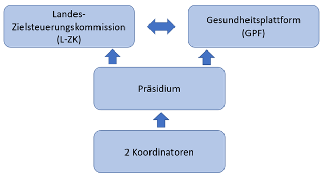Grafik zur Struktur des Oö. Gesundheitsfonds