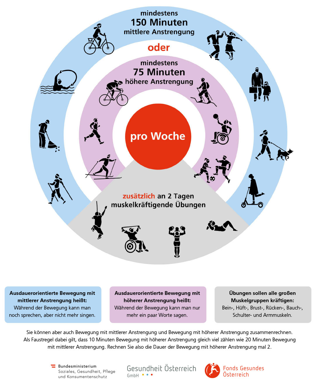 Infografik Bewegungsempfehlungen Erwachsene